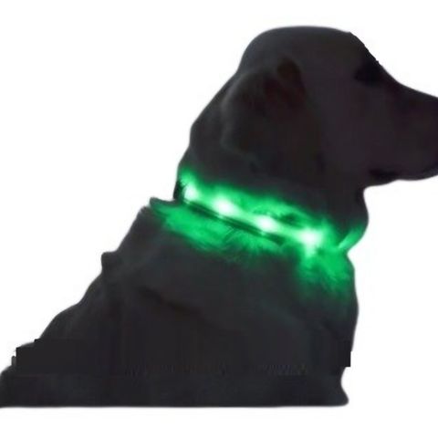 LED/ halsbånd for hund