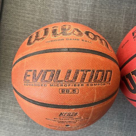 Wilson basketball