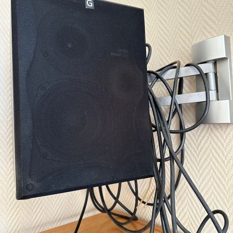 Genelec Biamp 1019A, inkl veggfeste.