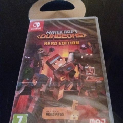 Switch Minecraft dungeons H. Ed