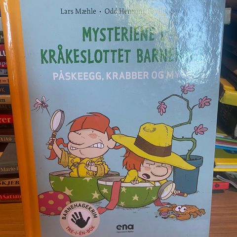 Mysteriene i kråkeslottet barnehage