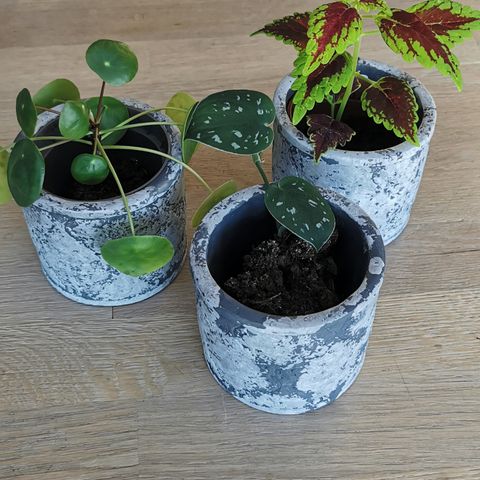 3 blomster i potter