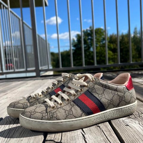 Gucci Sneakers 37