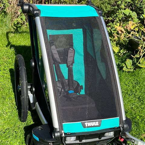 Thule Chariot Lite 1