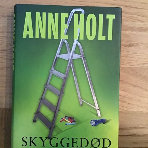 Bok: Anne Holt, Skyggedød