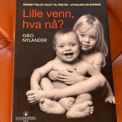 Gro Nylander- Lille venn, hva nå?