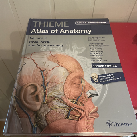 Head, Neck, and Neuroanatomy (THIEME Atlas of Anatomy)