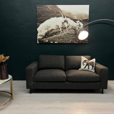 GRATIS LEVERING - KUPP! Strøken og nyrenset Bolia Scandinavia 2,5 seter sofa