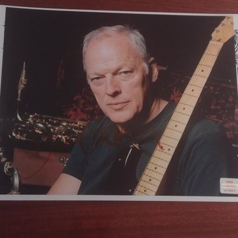 Pink Floyd - David Gilmour - Signed in person