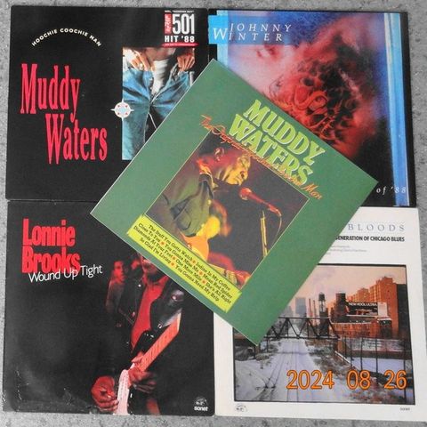 Johnny Winter, Muddy Waters, Lonnie Brooks - Chicago Blues with Muddy Waters and