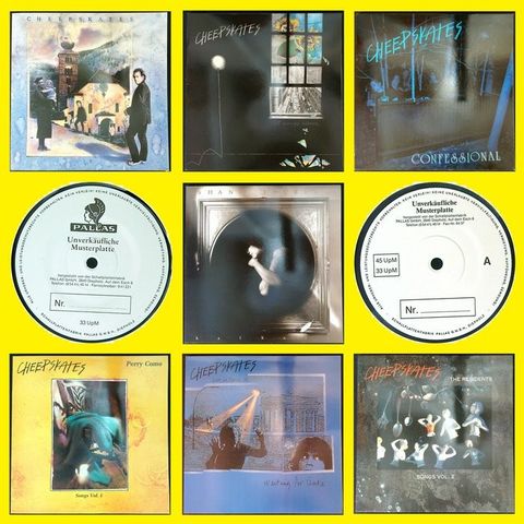 Cheepskates (Shane Faubert) - Pop, Folk Rock, Power Pop - Lot of 5x LP's and 2x 