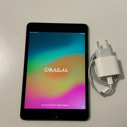 iPad mini 5