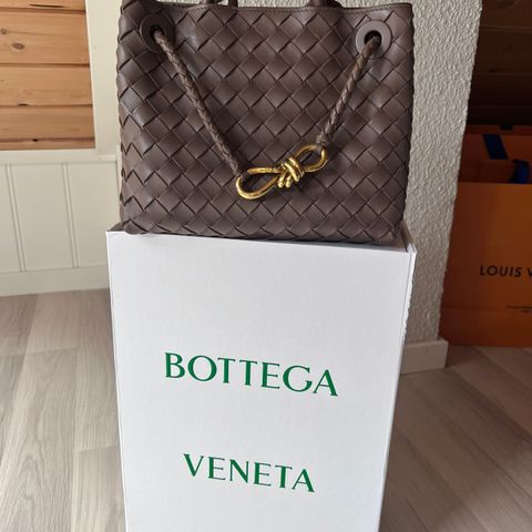 Bottega Veneta Andiamo Small