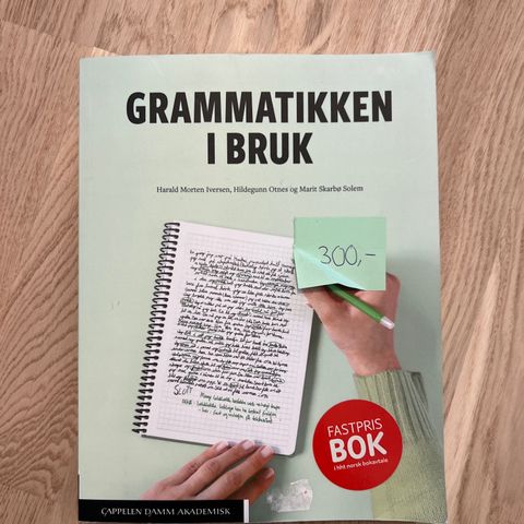 Grammatikken i bruk