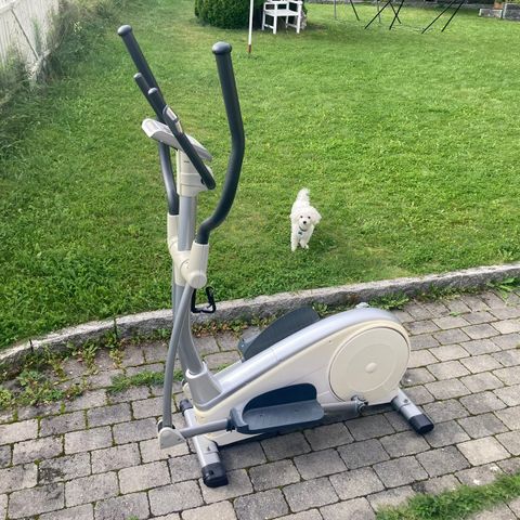 Crosstrainer / ellipsemaskin  gis bort