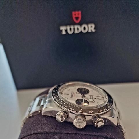 Tudor Panda Black Bay 2022.