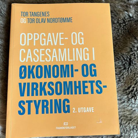 Selger oppgave- og casesamling i økonomi- og virksomhetsstyring