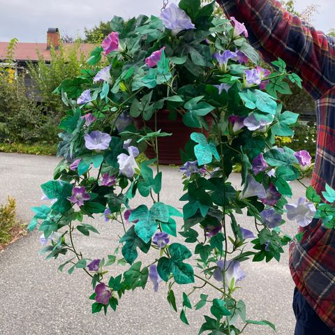 Kunstig, blå blomst i ampel