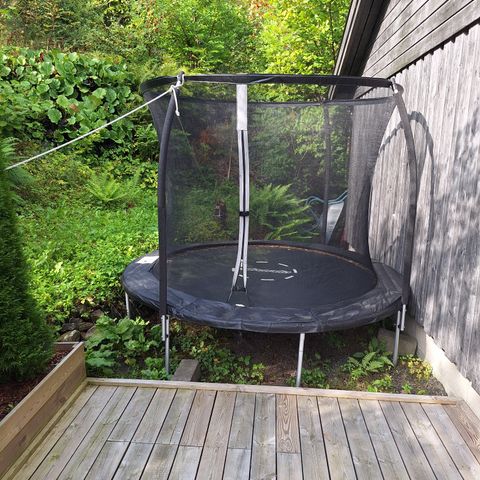 Trampoline