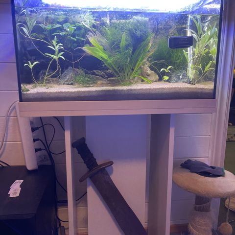 60 liter akvarium med alt