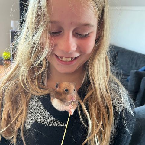 Jentehamster ønsker å møte guttehamster i Vestfold.