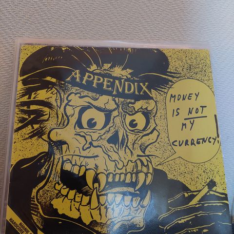 Appendix  – Money Is Not My Currency LP finsk punk rock hardcore crust oi