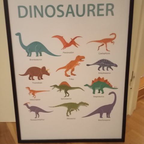 Innrammet plakat av dinosaurer 50 x 70