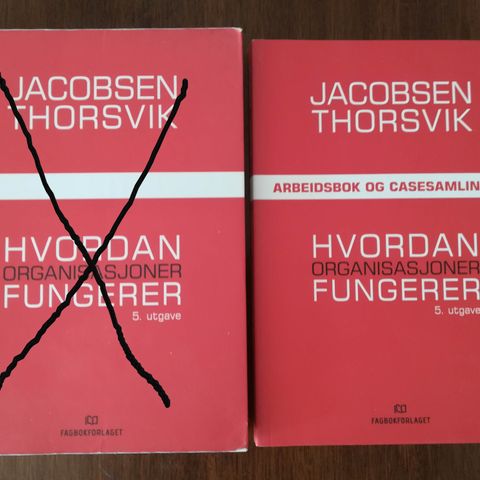 Hvordan organisasjoner fungerer (kun casesamling igjen)