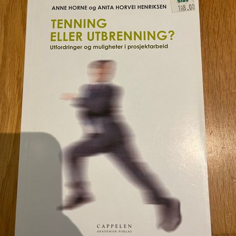 Lærebok i ledelse Tenning eller utbrenning?