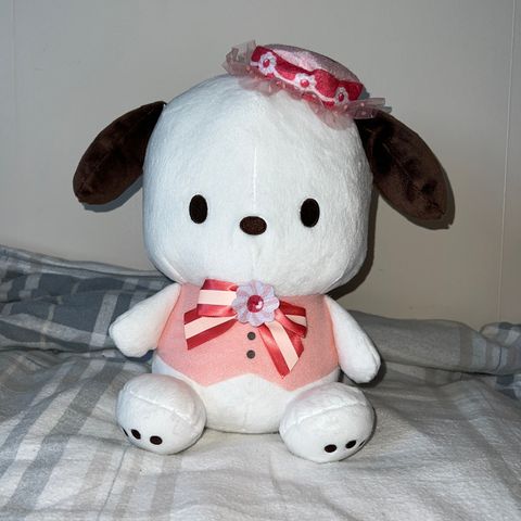 Pochacco plush