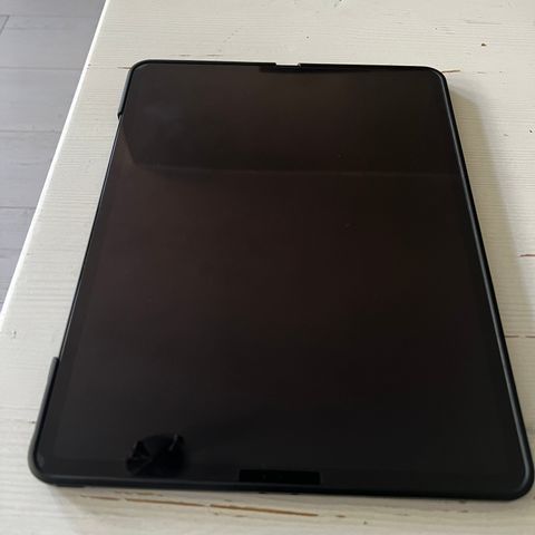 iPad Pro 12,9" - 1 TB WiFi StellarGrå