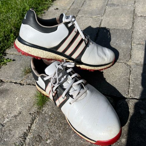 Adidas Tour 360 spikeless golf sko