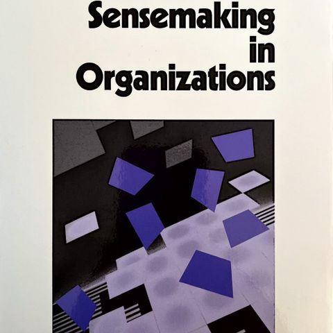 Sensemaking Karl E. Weick