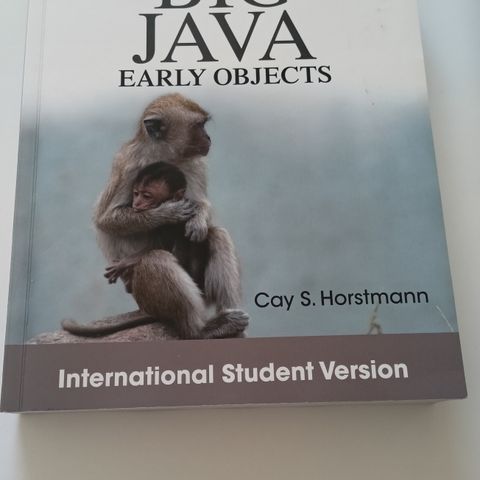 Big Java Early Objects 5th edition