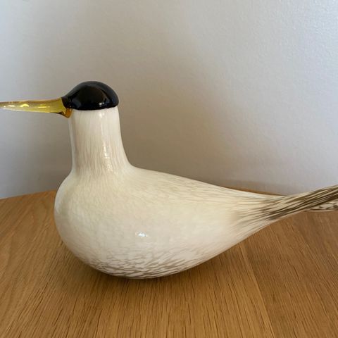 Iittala, Birds by Toikka, Arctic Tern