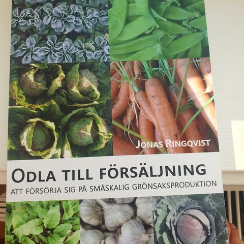 Odla till försäljning -att forsörja sig på småskalig grönsakproduktion