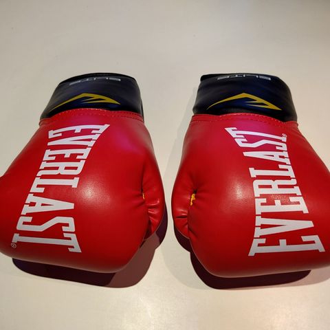 Everlast boksehansker