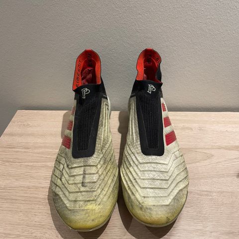 Adidas Predator 19+ Pogba