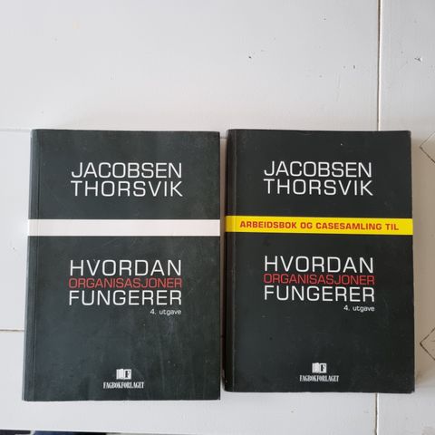 Hvordan organisasjoner fungerer + arbeidsbok