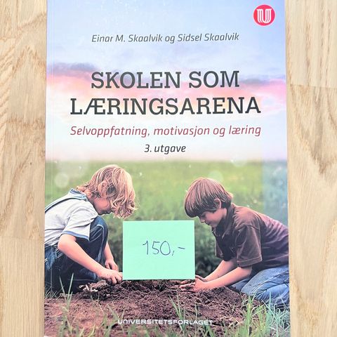 Skolen som læringsarena: selvoppfatning, motivasjon og læring