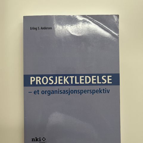 Prosjektledelse - et organisasjonsperspektiv