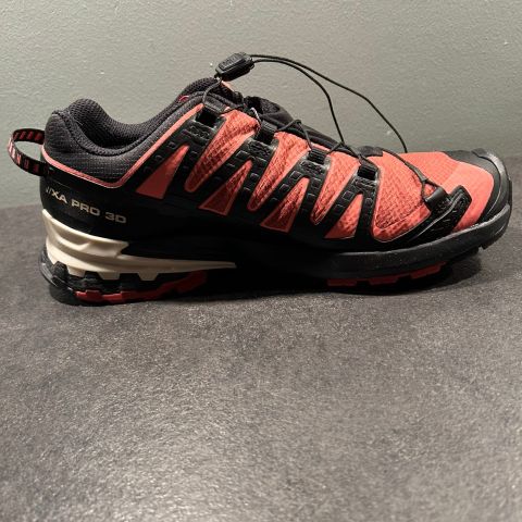 Salomon GTX W