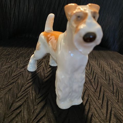 Ussr/lomonosov fox terrier.