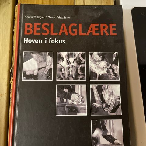 Beslaglære