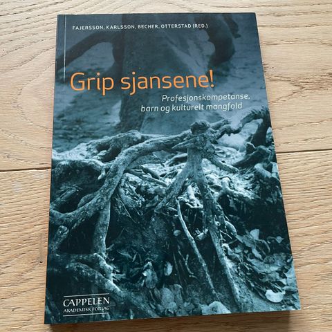 Grip sjansene! - barnehagelærerpensum