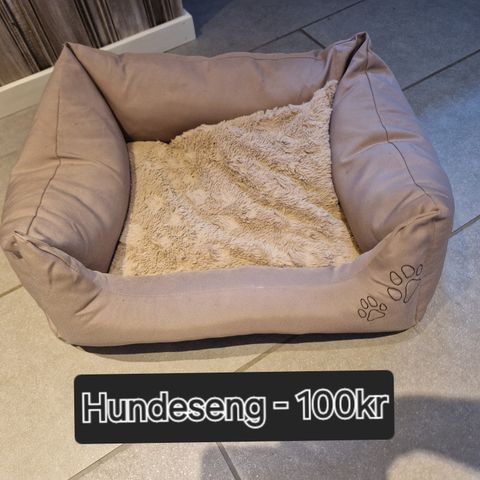 Hundeseng