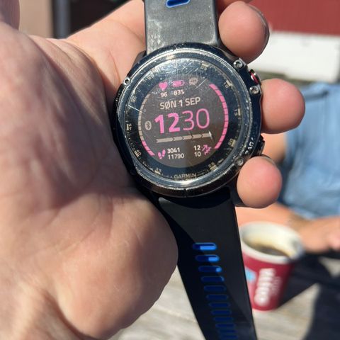 Garmin fenix 5x pluss