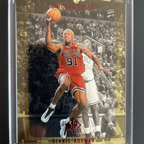 🏀 Chicago Bulls - Dennis Rodman - Nba Basketball kort 🏀