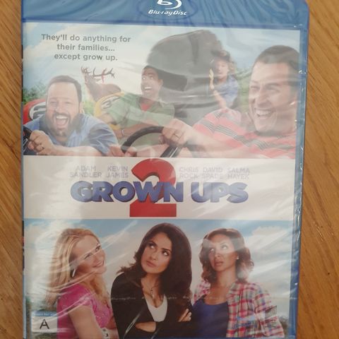 GROWN UPS 2  I PLAST