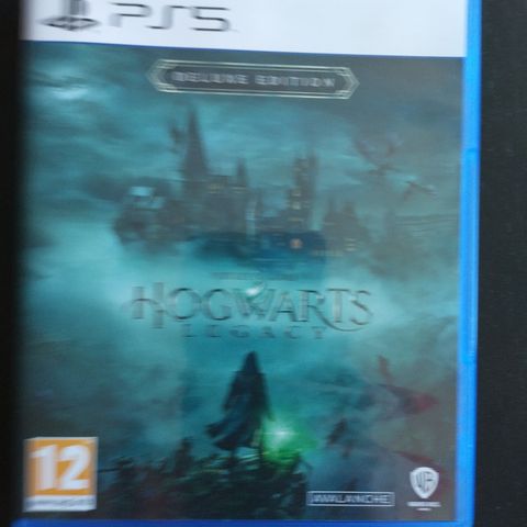 Hogwarts Legacy Deluxe Edition PS5